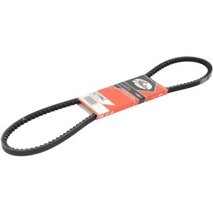 Gates Cinghia Poly-V 6219MC Gates Cinghia Poly-V 6219MC