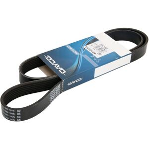 Dayco Modello 7PK1325 Cinghia Trapezoidale - Cinghia Trapezoidale Dayco Modello 7PK1325 Cinghia Trapezoidale - Cinghia Trapezoidale