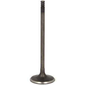 Valvola FRECCIA R6720/SNT - 45°, Acciaio cromo-silicio, 99,9mm Valvola FRECCIA R6720/SNT - 45°, Acciaio cromo-silicio, 99,9mm
