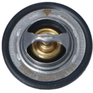 Termostato acqua NRF 725089 - Renault Clio 3 Termostato acqua NRF 725089 - Renault Clio 3