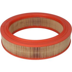 Filtron Filtro aria AR224 Filtron Filtro aria AR224