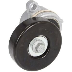 DAYCO APV2583 Tensionatore per Cinghia a Nervature - Tensionatore DAYCO APV2583 Tensionatore per Cinghia a Nervature - Tensionatore