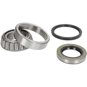Kit di cuscinetti ruota BTA H21020BTA Kit di cuscinetti ruota BTA H21020BTA