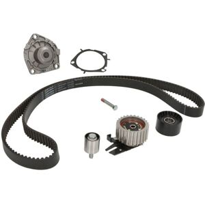 Kit pompa acqua e cinghia di distribuzione Continental - Alfa Romeo Kit pompa acqua e cinghia di distribuzione Continental - Alfa Romeo