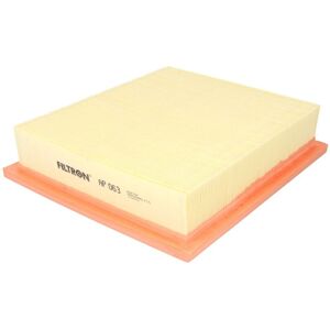 Filtron Filtro aria AP063 Filtron Filtro aria AP063