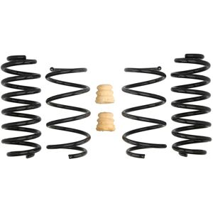 Eibach Kit sospensioni, molle Pro-Kit E10-85-041-04-22 Eibach Kit sospensioni, molle Pro-Kit E10-85-041-04-22