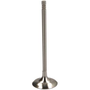 Valvola FRECCIA R6730/S per BMW Serie 3/5, Z4, X3 - Valvola Valvola FRECCIA R6730/S per BMW Serie 3/5, Z4, X3 - Valvola