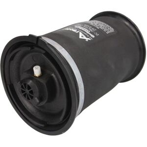 Arnott Europe Molla pneumatica, telaio A-2642 Arnott Europe Molla pneumatica, telaio A-2642