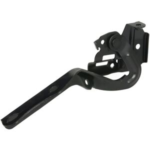 Giunto del cofano BLIC 6802-00-8199452P - Ricambio auto Giunto del cofano BLIC 6802-00-8199452P - Ricambio auto