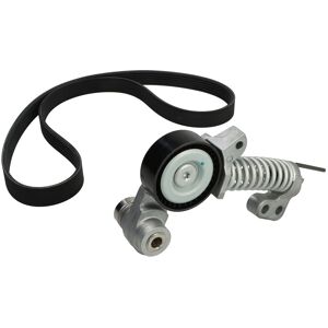 Kit Cinghia Poly-V Continental per Volvo V60, V70, S60 - Cinghia di trasmissione Kit Cinghia Poly-V Continental per Volvo V60, V70, S60 - Cinghia di trasmissione
