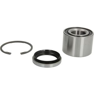Kit cuscinetti ruota BTA H22010 Kit cuscinetti ruota BTA H22010