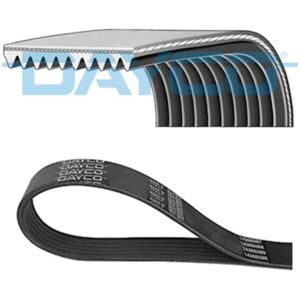 DAYCO 10PK1630HD Cinghia trapezoidale - Cinghia trapezoidale DAYCO 10PK1630HD Cinghia trapezoidale - Cinghia trapezoidale