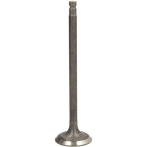 Valvola FRECCIA R6739/RNT - Valvola motore Valvola FRECCIA R6739/RNT - Valvola motore