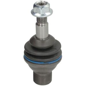 DELPHI TC4943 Supporto motore - Engine Mount DELPHI TC4943 Supporto motore - Engine Mount