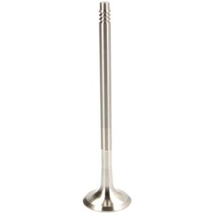 Valvola di scarico FRECCIA R6731/BM - BMW Serie 3 Valvola di scarico FRECCIA R6731/BM - BMW Serie 3