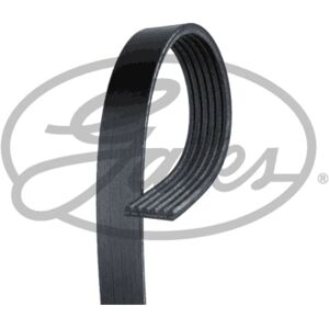 Gates Cinghia Poly-V 6PK1003 Gates Cinghia Poly-V 6PK1003