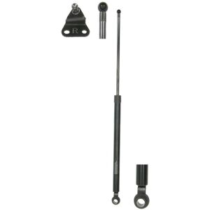 Lesjofors Molla a gas, vano bagagli/carico LESJÖFORS 8135714 destro Lesjofors Molla a gas, vano bagagli/carico LESJÖFORS 8135714 destro