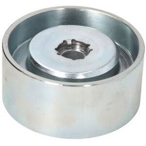 Puleggia Tensionatrice BTA B05-02-074 - Pulegge e Cinghie Puleggia Tensionatrice BTA B05-02-074 - Pulegge e Cinghie