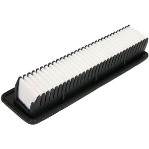 Blue Print Filtro aria ADG02298 Blue Print Filtro aria ADG02298