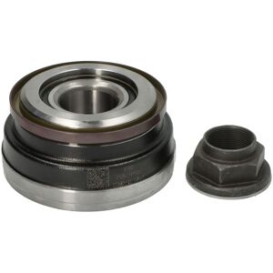 Schaeffler FAG 713 6981 00 Set di cuscinetti - Wheel Bearing Set Schaeffler FAG 713 6981 00 Set di cuscinetti - Wheel Bearing Set