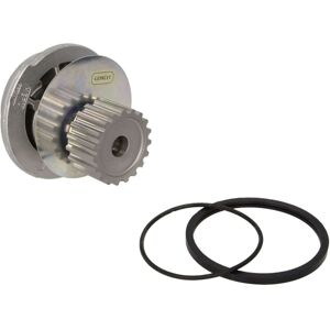 Hepu Pompa dell'acqua P793 Hepu Pompa dell'acqua P793