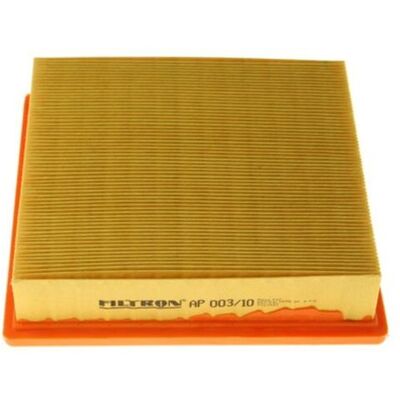 Filtron Filtro aria AP003/10 Filtron Filtro aria AP003/10