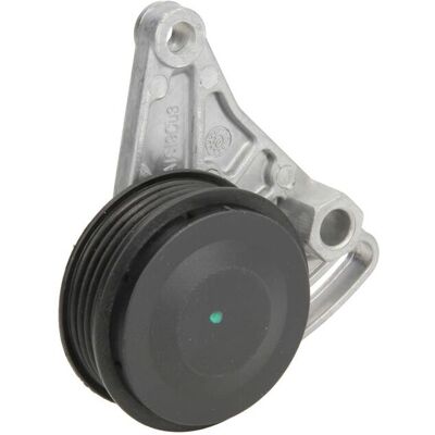 BTA E3W0021BTA - Puleggia tendicing per Audi, Volkswagen, Skoda BTA E3W0021BTA - Puleggia tendicing per Audi, Volkswagen, Skoda