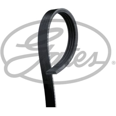 GATES Cinghia Poly-V Stretch Fit - 1041 mm GATES Cinghia Poly-V Stretch Fit - 1041 mm