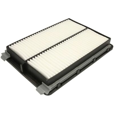 Filtron AP 197/8 - Filtro aria per Hyundai Sonata Kia Optima Filtron AP 197/8 - Filtro aria per Hyundai Sonata Kia Optima