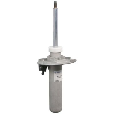 SACHS 319 245 - Ammortizzatore SACHS 319 245 - Ammortizzatore