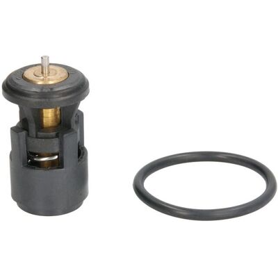 THERMOTEC D2A005TT Termostato - Con guarnizione THERMOTEC D2A005TT Termostato - Con guarnizione