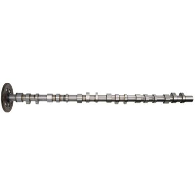 BF 20100347001 Albero a camme - Lato scarico BF 20100347001 Albero a camme - Lato scarico