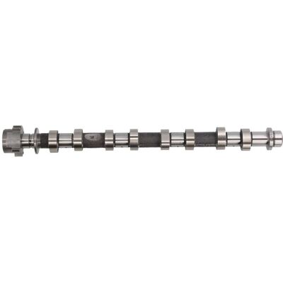AMC 647198 Albero a Camme - Lato Aspirazione - Senza Anello AMC 647198 Albero a Camme - Lato Aspirazione - Senza Anello