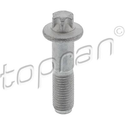 Vite Zincata M12 HANS PRIES - 60mm Vite Zincata M12 HANS PRIES - 60mm