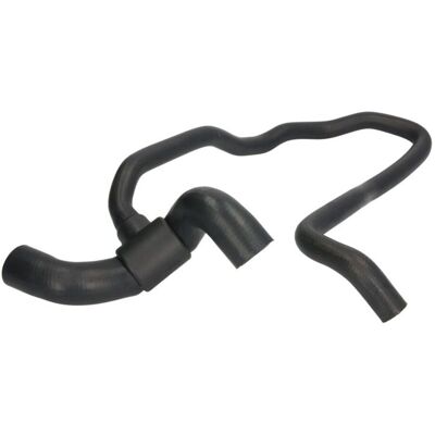 THERMOTEC DWX242TT - Tubo del radiatore - Manguera inferiore del liquido di raffreddamento THERMOTEC DWX242TT - Tubo del radiatore - Manguera inferiore del liquido di raffreddamento