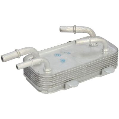 THERMOTEC D4I013TT Radiatore - Alluminio THERMOTEC D4I013TT Radiatore - Alluminio