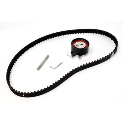 Dayco KTB336 Kit Cinghie di Distribuzione - Kit per Fiat, Peugeot, Citroën Dayco KTB336 Kit Cinghie di Distribuzione - Kit per Fiat, Peugeot, Citroën