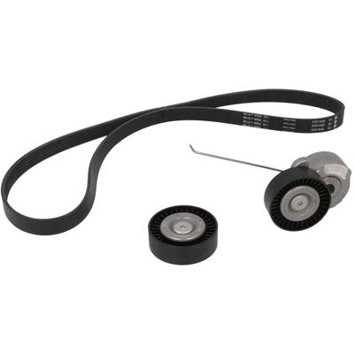 Schaeffler Ina Set di cinghie Poly-V INA 529 0320 10 Schaeffler Ina Set di cinghie Poly-V INA 529 0320 10