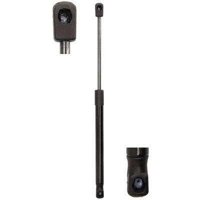 MAGNUM TECHNOLOGY MGS7004 Molla a gas - Idraulica, 490N, 405mm MAGNUM TECHNOLOGY MGS7004 Molla a gas - Idraulica, 490N, 405mm