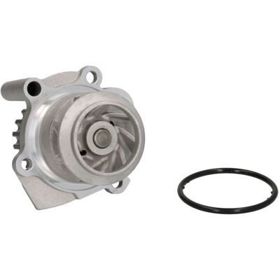 Pompa dell'acqua THERMOTEC D1W037TT - Guarnizione meccanica - VW, SEAT, Audi, Škoda, Ford Pompa dell'acqua THERMOTEC D1W037TT - Guarnizione meccanica - VW, SEAT, Audi, Škoda, Ford