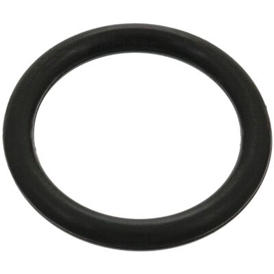 ANELLO DI SIGILLATURA FEBI BILSTEIN - 05019 ANELLO DI SIGILLATURA FEBI BILSTEIN - 05019