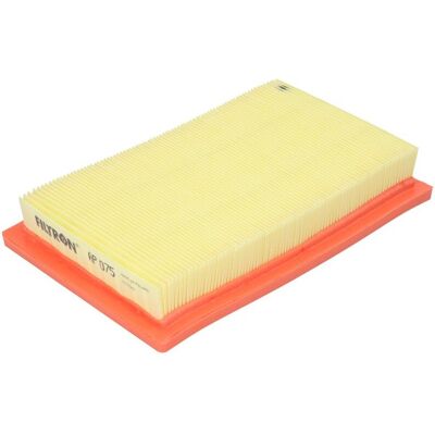 Filtro aria Filtron AP 075 Filtro aria Filtron AP 075