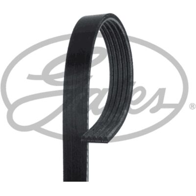 Cinghia V-ribbed GATES - 933mm - Nera Cinghia V-ribbed GATES - 933mm - Nera