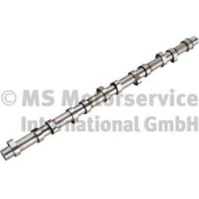 BF 20100220662 Albero a camme - Per camion e autobus BF 20100220662 Albero a camme - Per camion e autobus