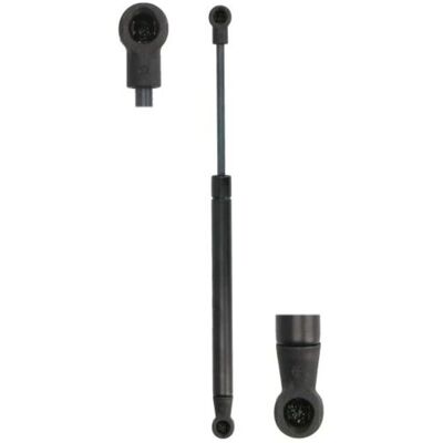 MAGNETI MARELLI 430719143600 - Supporto cofano MAGNETI MARELLI 430719143600 - Supporto cofano