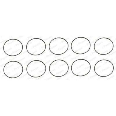 PAYEN HL5383 Set guarnizioni testa cilindro PAYEN HL5383 Set guarnizioni testa cilindro