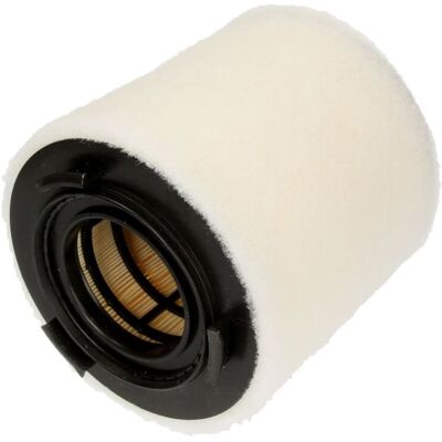 Filtron Filtro aria AK370/2 Filtron Filtro aria AK370/2