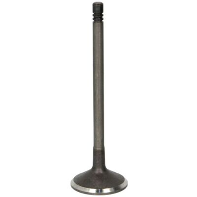 Valvola FRECCIA R6605/SNT - Angolo 45° Stelo nitrurato 32mm Valvola FRECCIA R6605/SNT - Angolo 45° Stelo nitrurato 32mm