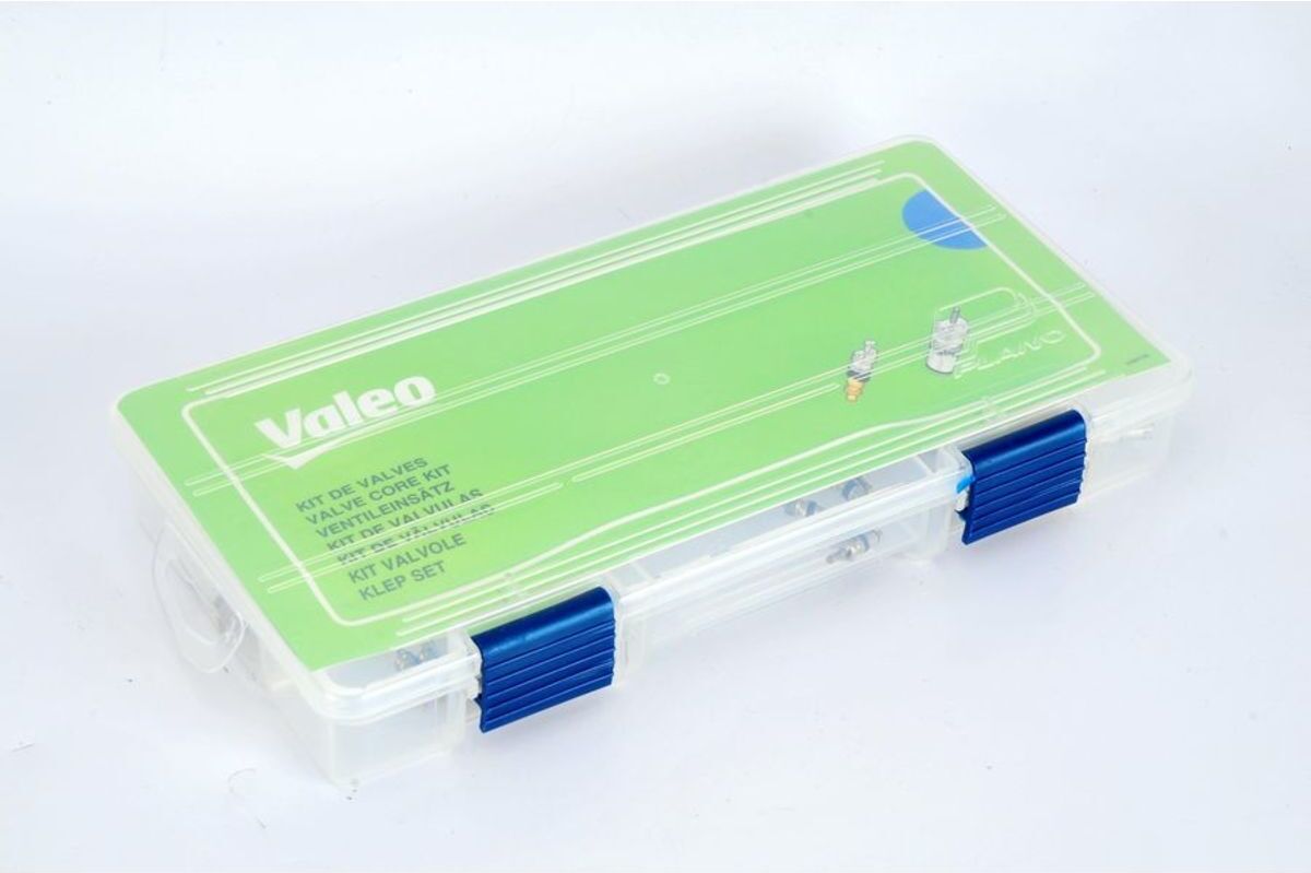 Valeo Valvole, set 47 pezzi + utensili 509735