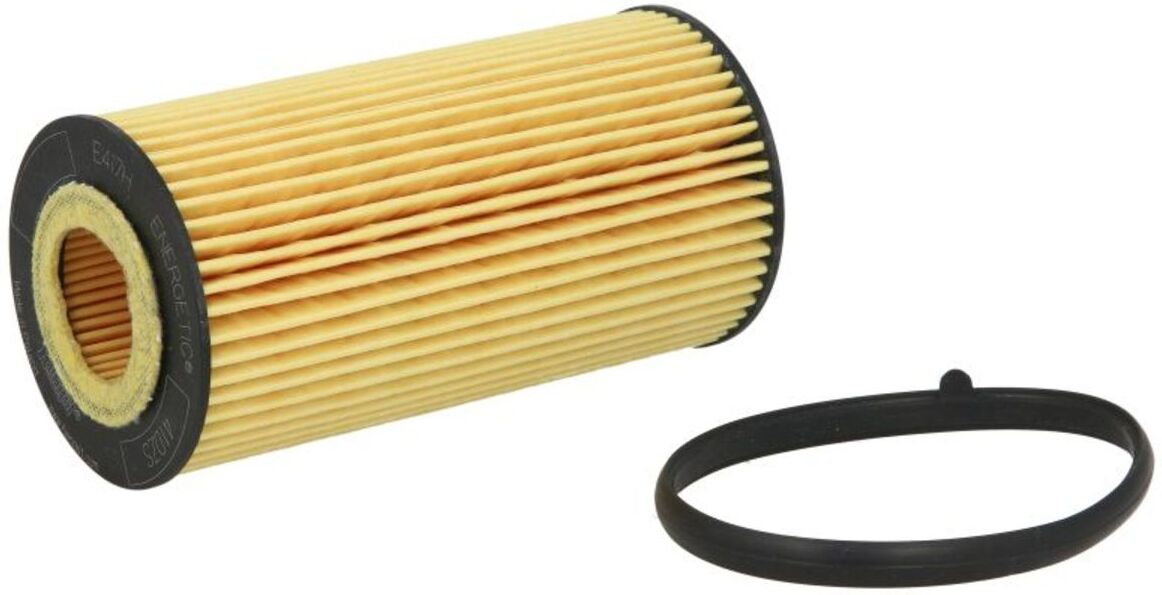 Hengst Filter Filtro dell'olio E417H D125